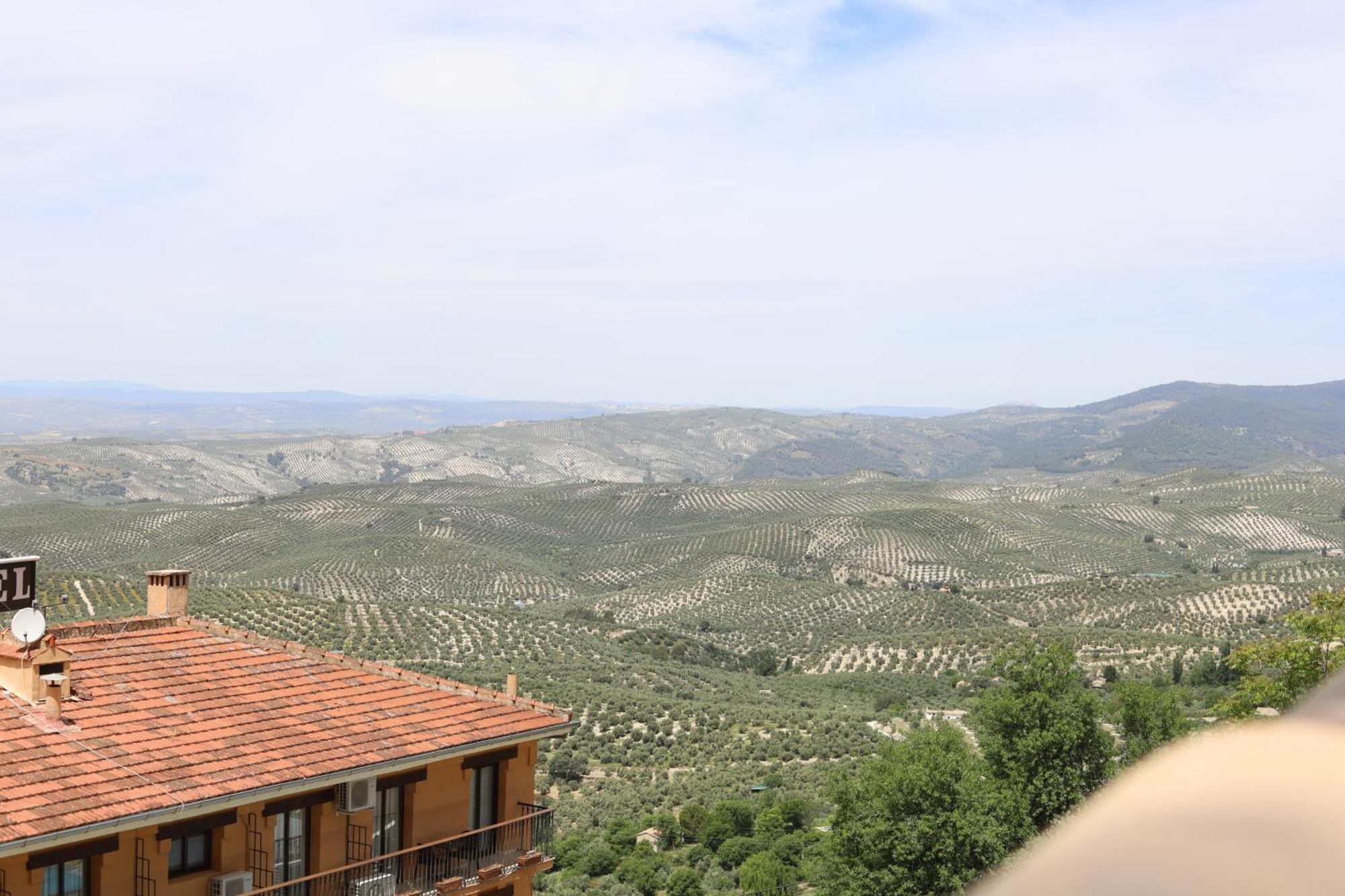 Hospedium Dlj Sierra Cazorla Parking Free Apartment Ла Ируела Екстериор снимка